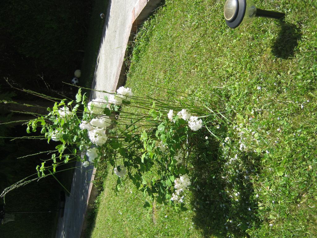 Grand Appartement Dans Villa Avec Parking Quartier Residentiel Joigny Quarto foto